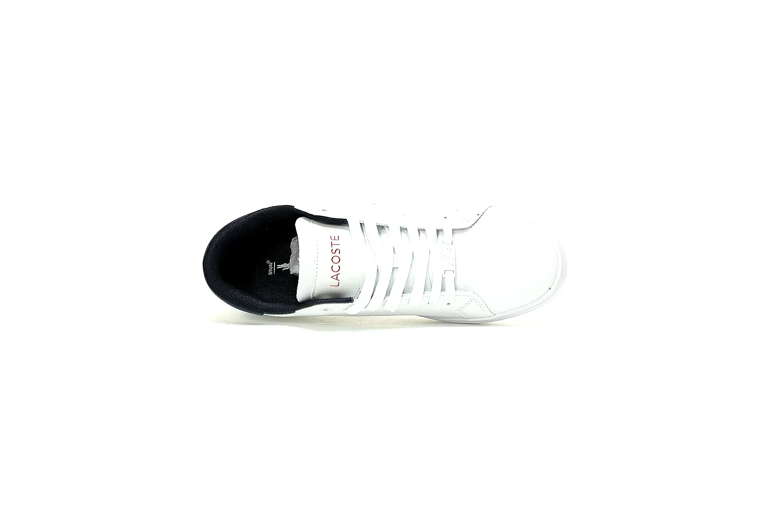 kakoscout.com Lacoste White Logo Low Top 0284 White low-top product image